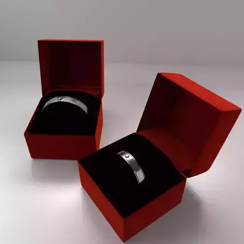 Couple Silver Ring with Diamond and Velvet Box