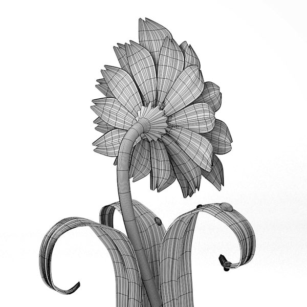 Cartoon Daisy 3D model_6