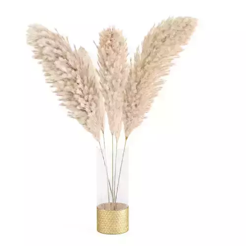 bouquet of pampas vol01