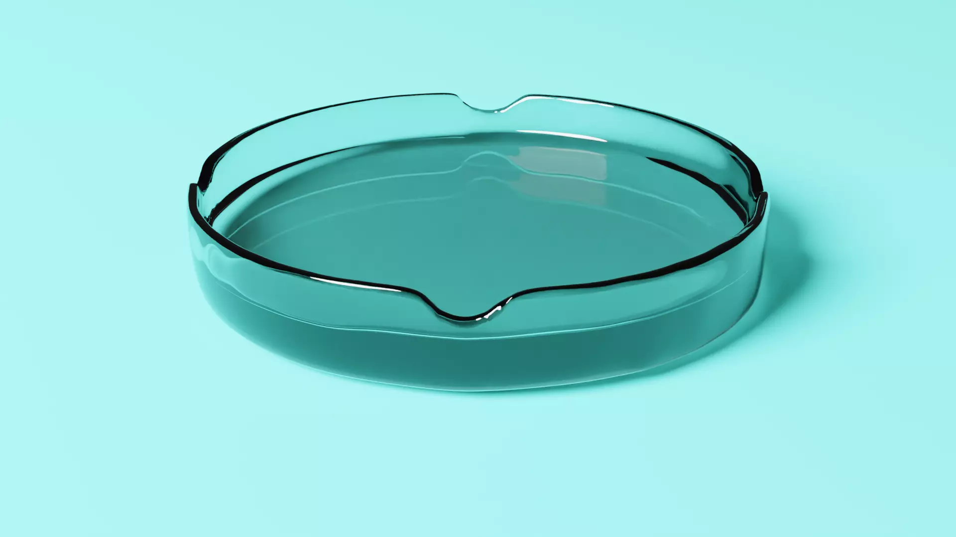 Glass Ashtray 3D model_0