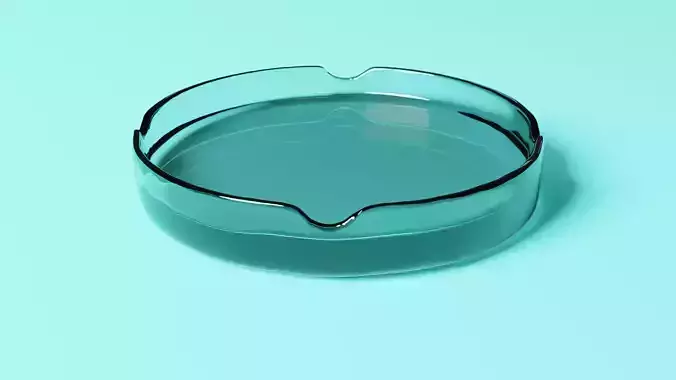 Glass Ashtray