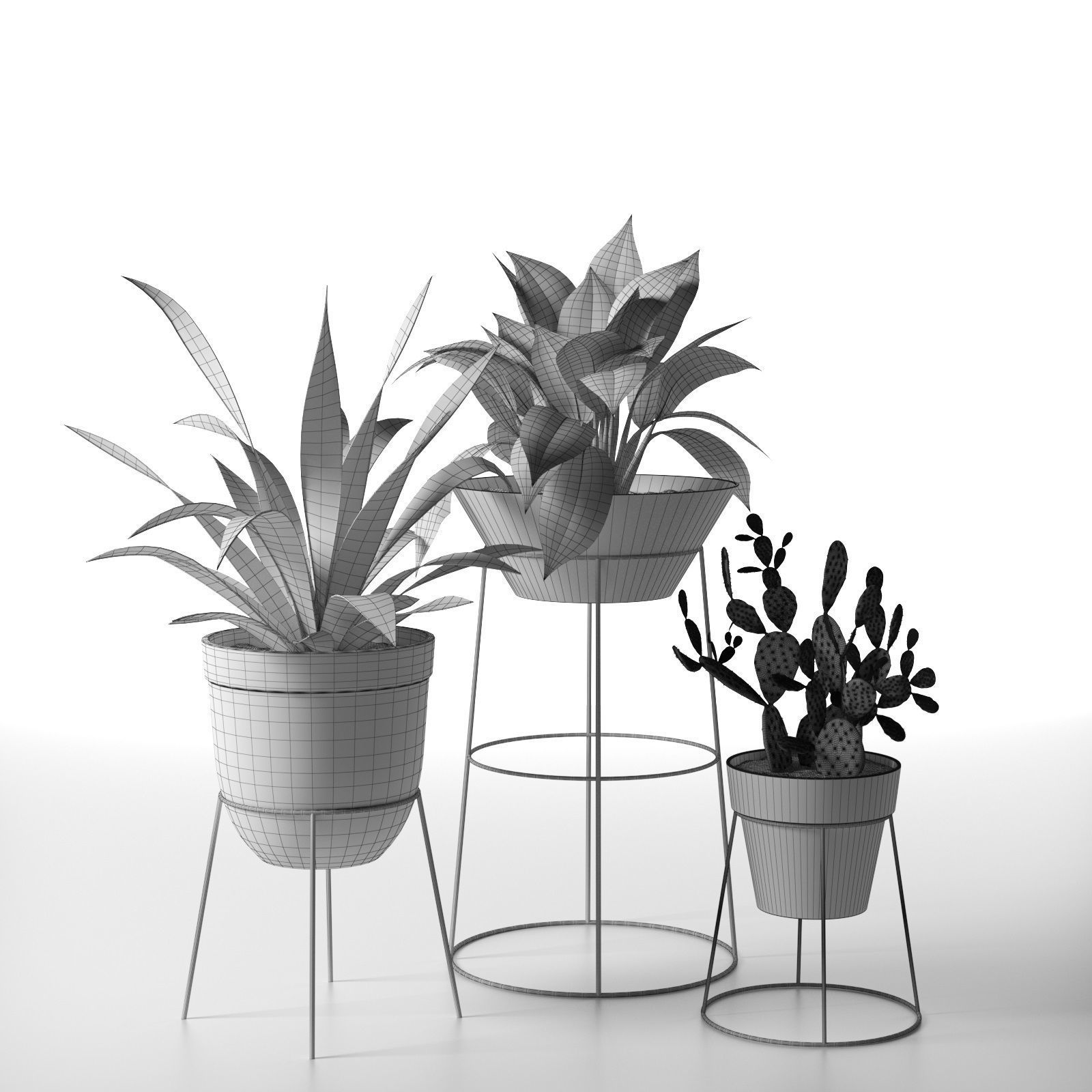 Standing Pots with Plants 3D model_3