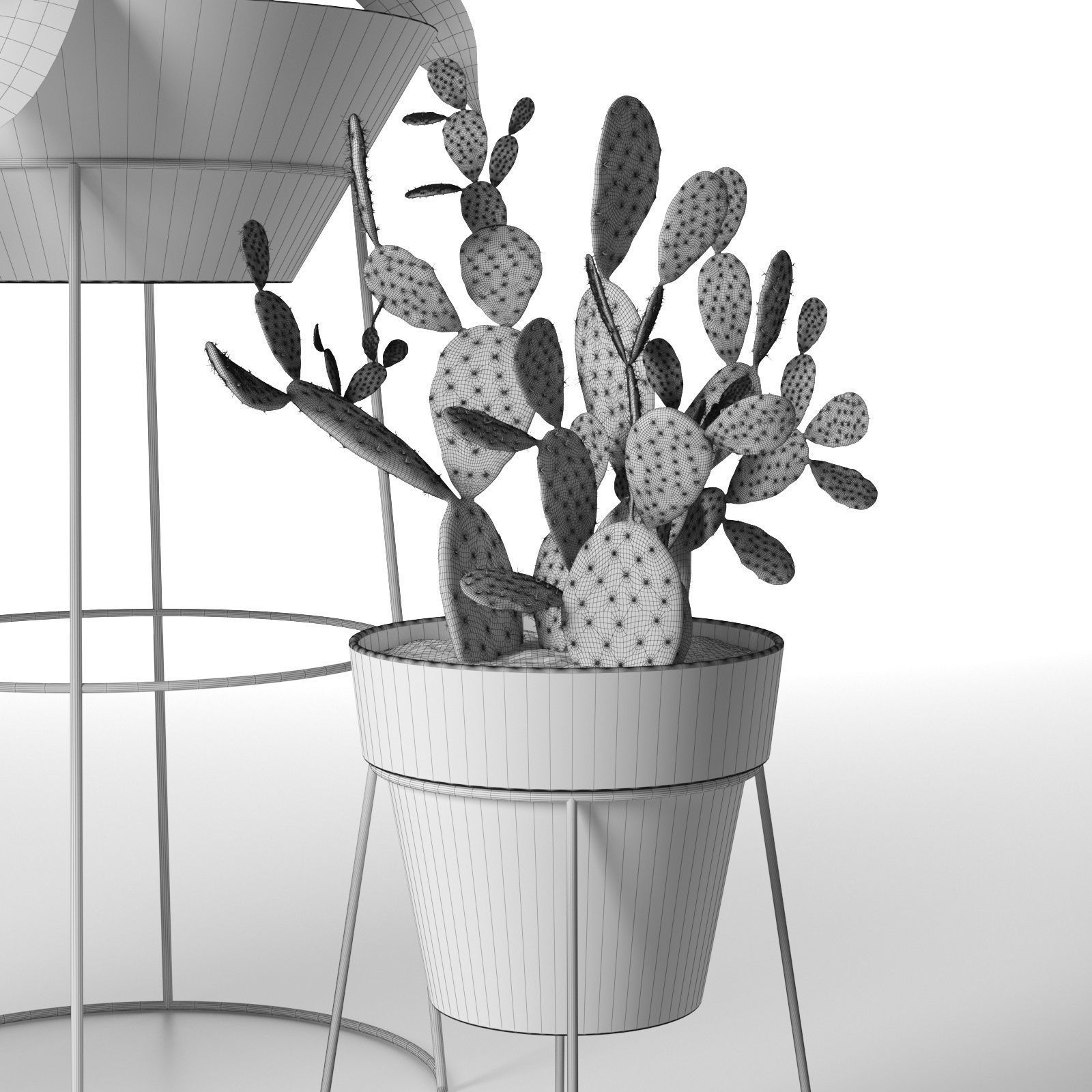 Standing Pots with Plants 3D model_4