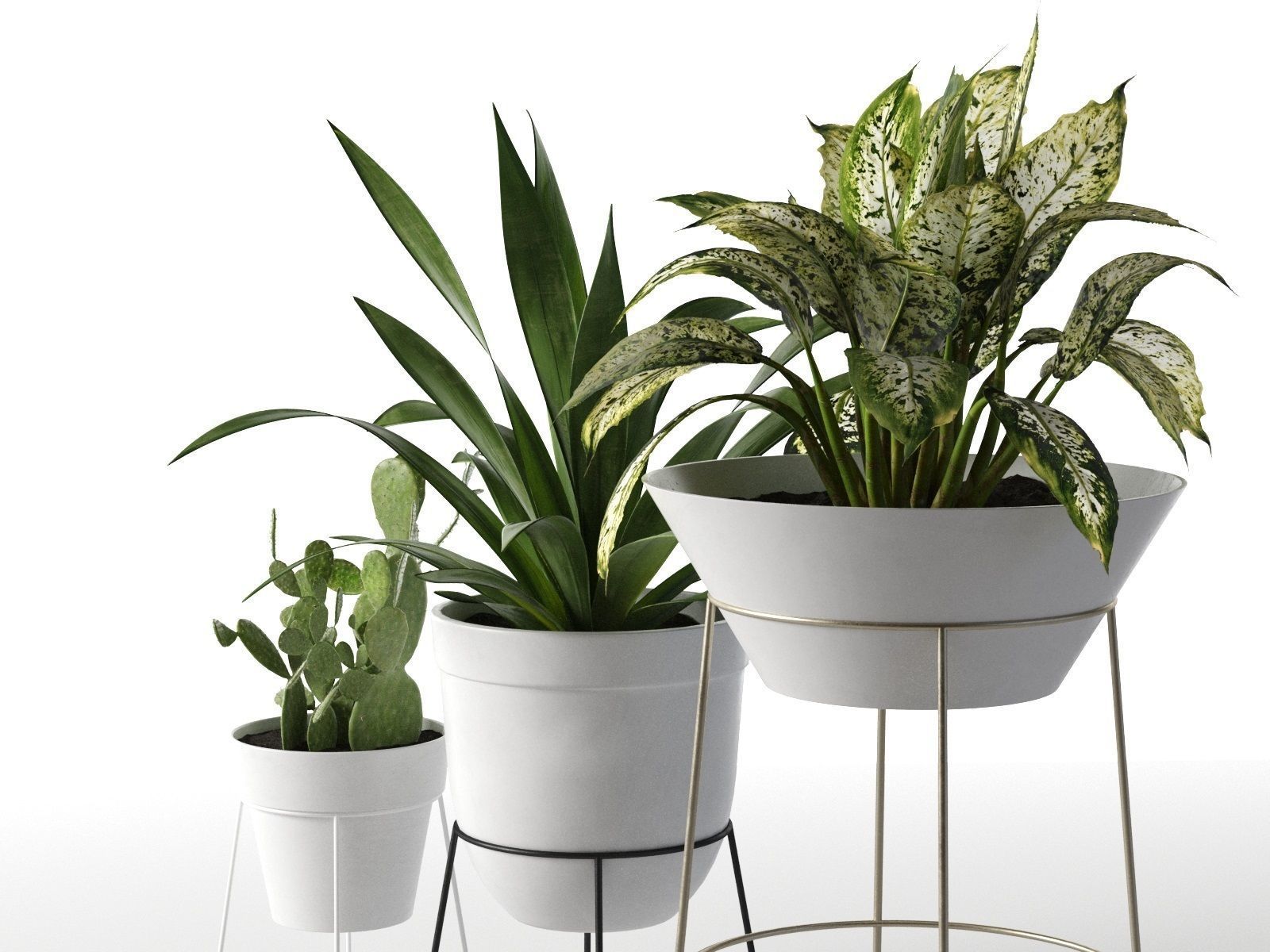 Standing Pots with Plants 3D model_2