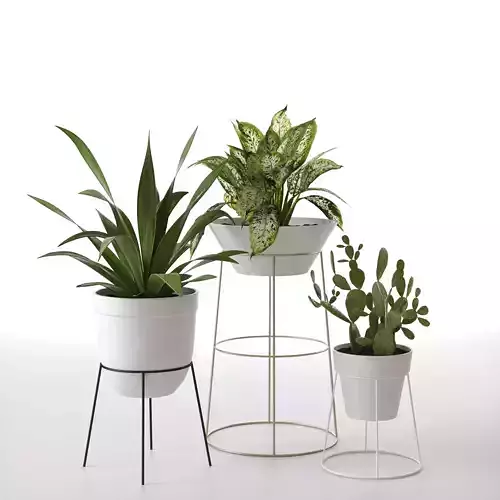 Standing Pots with Plants