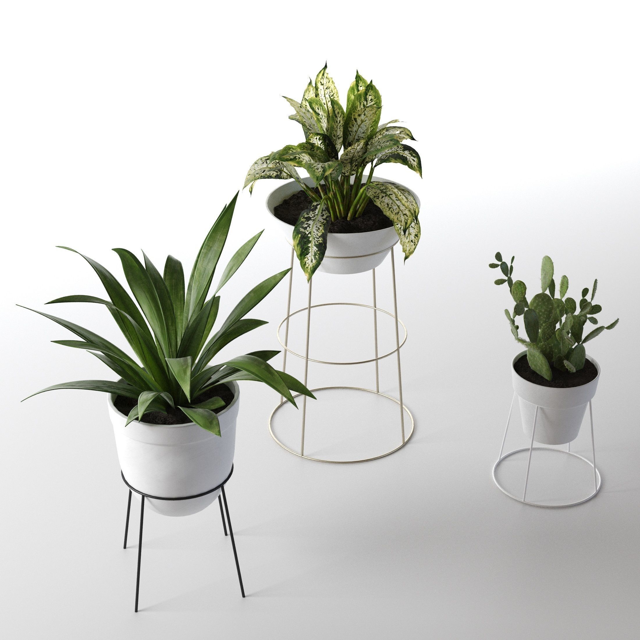 Standing Pots with Plants 3D model_1