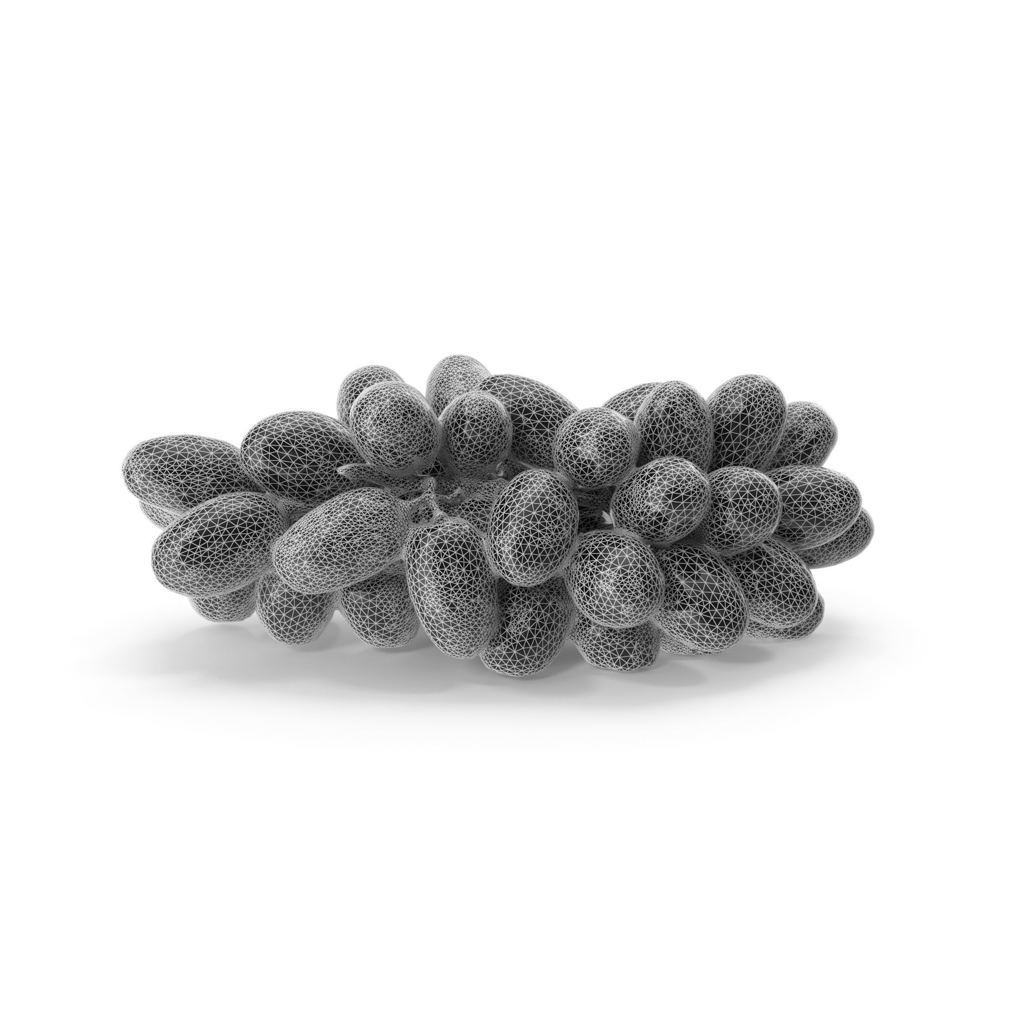 Red Grapes - 4K textures 3D model_26