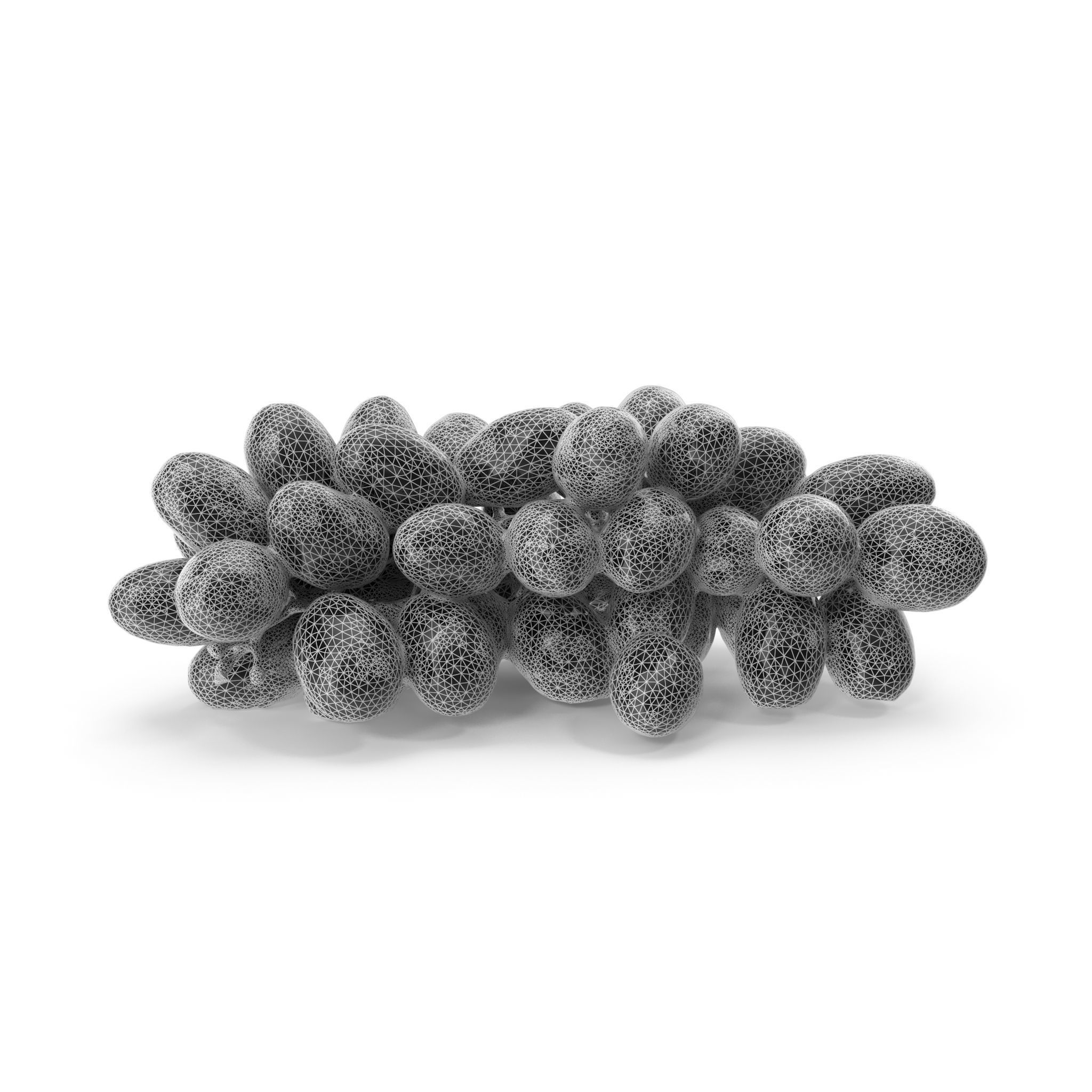 Red Grapes - 4K textures 3D model_24
