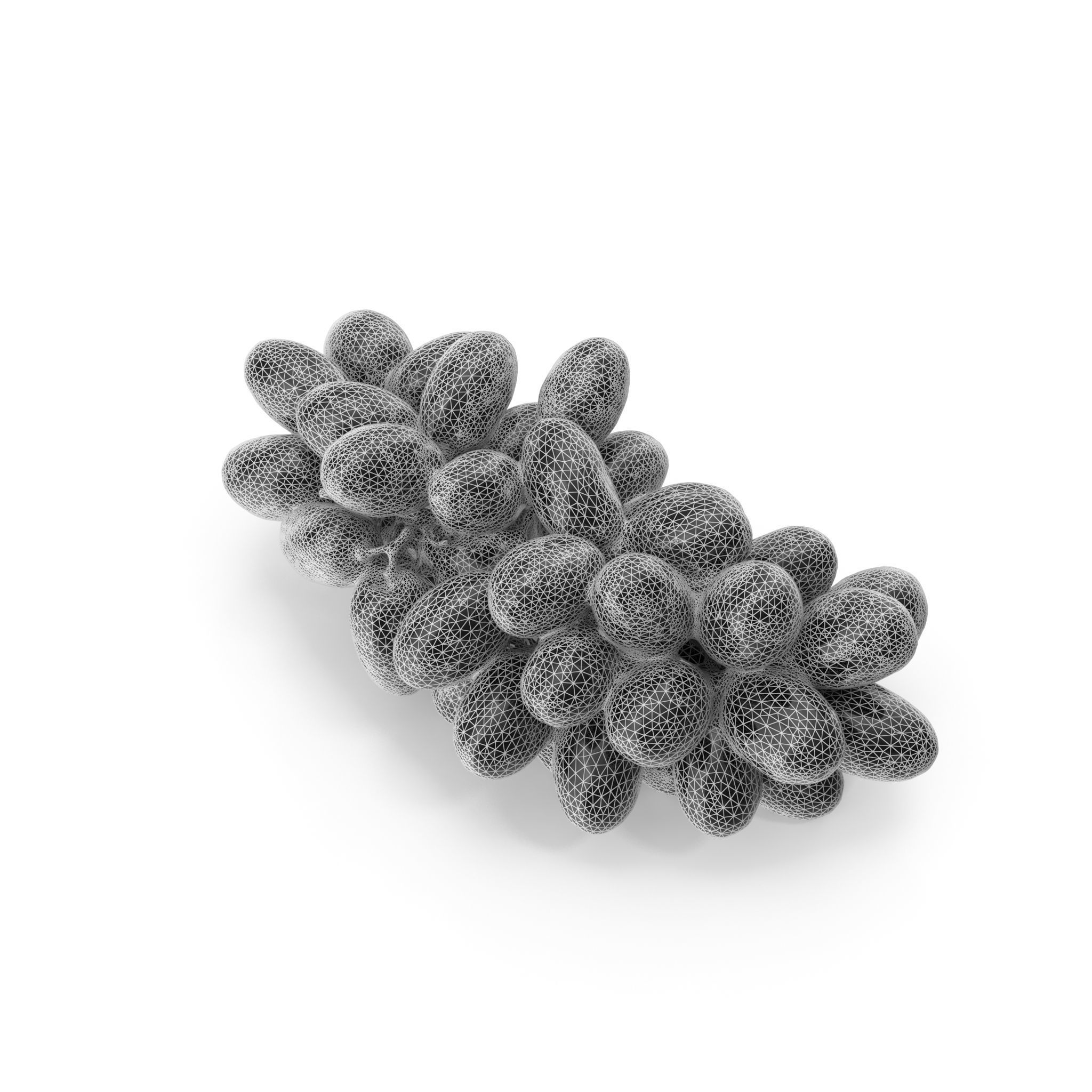 Red Grapes - 4K textures 3D model_18