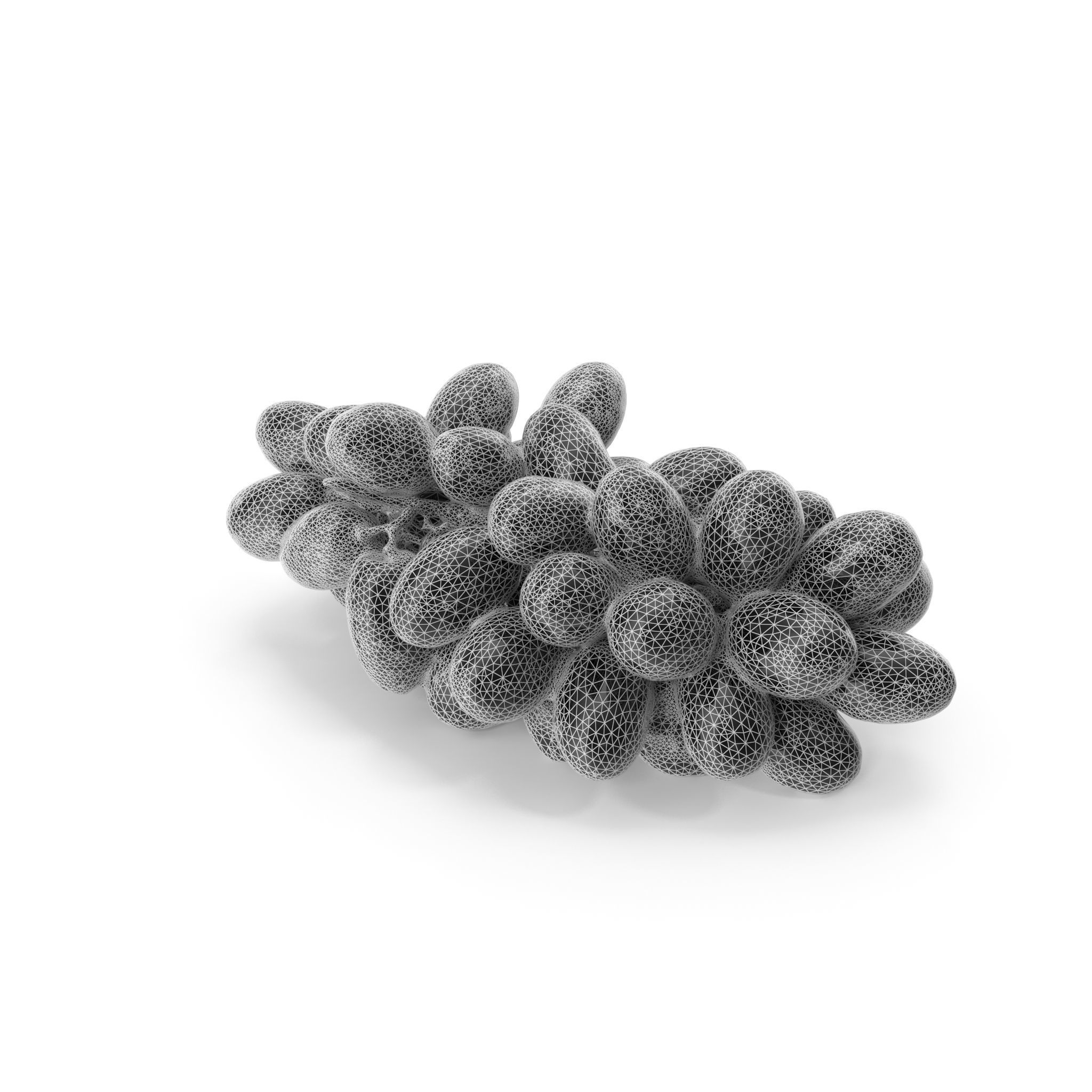 Red Grapes - 4K textures 3D model_21