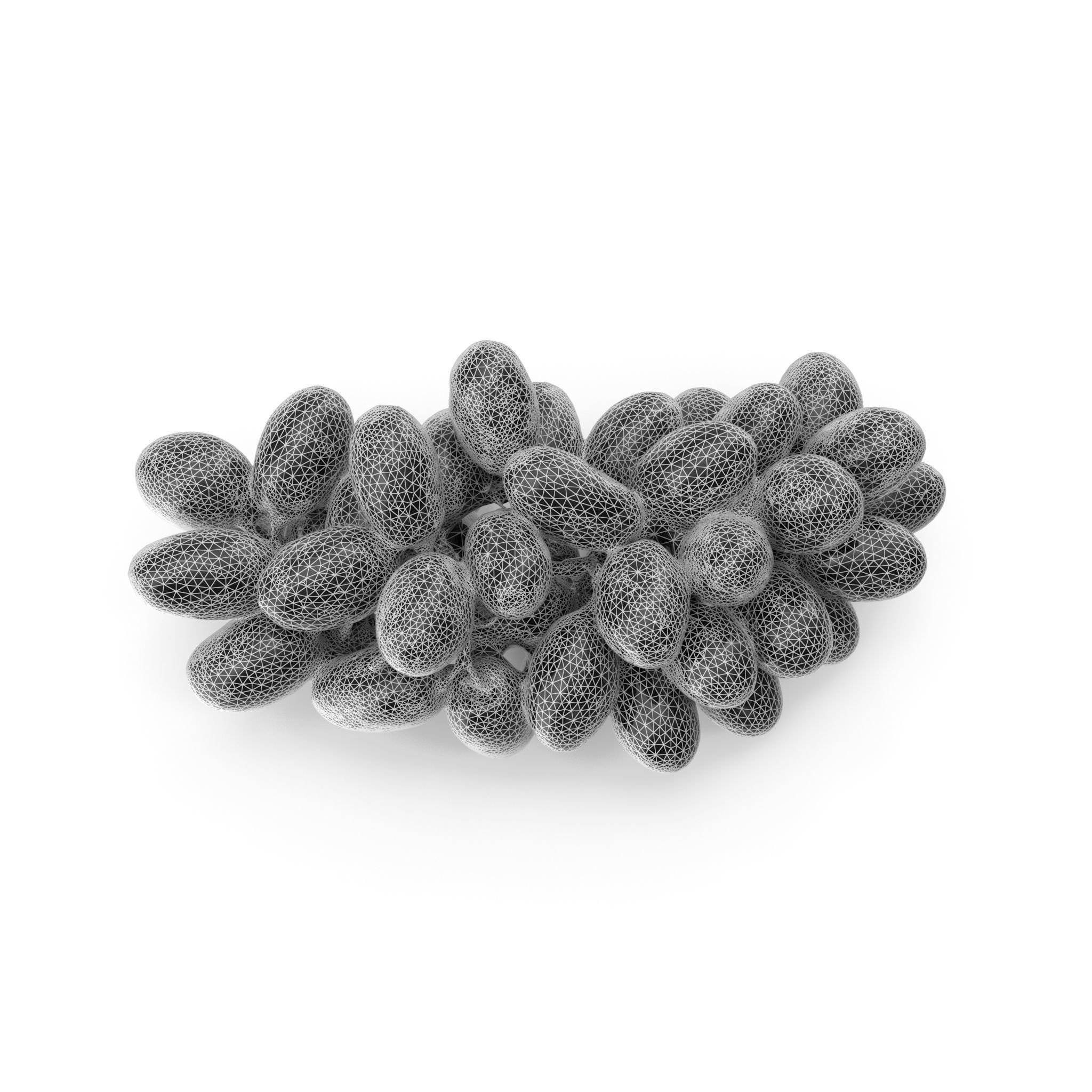 Red Grapes - 4K textures 3D model_14