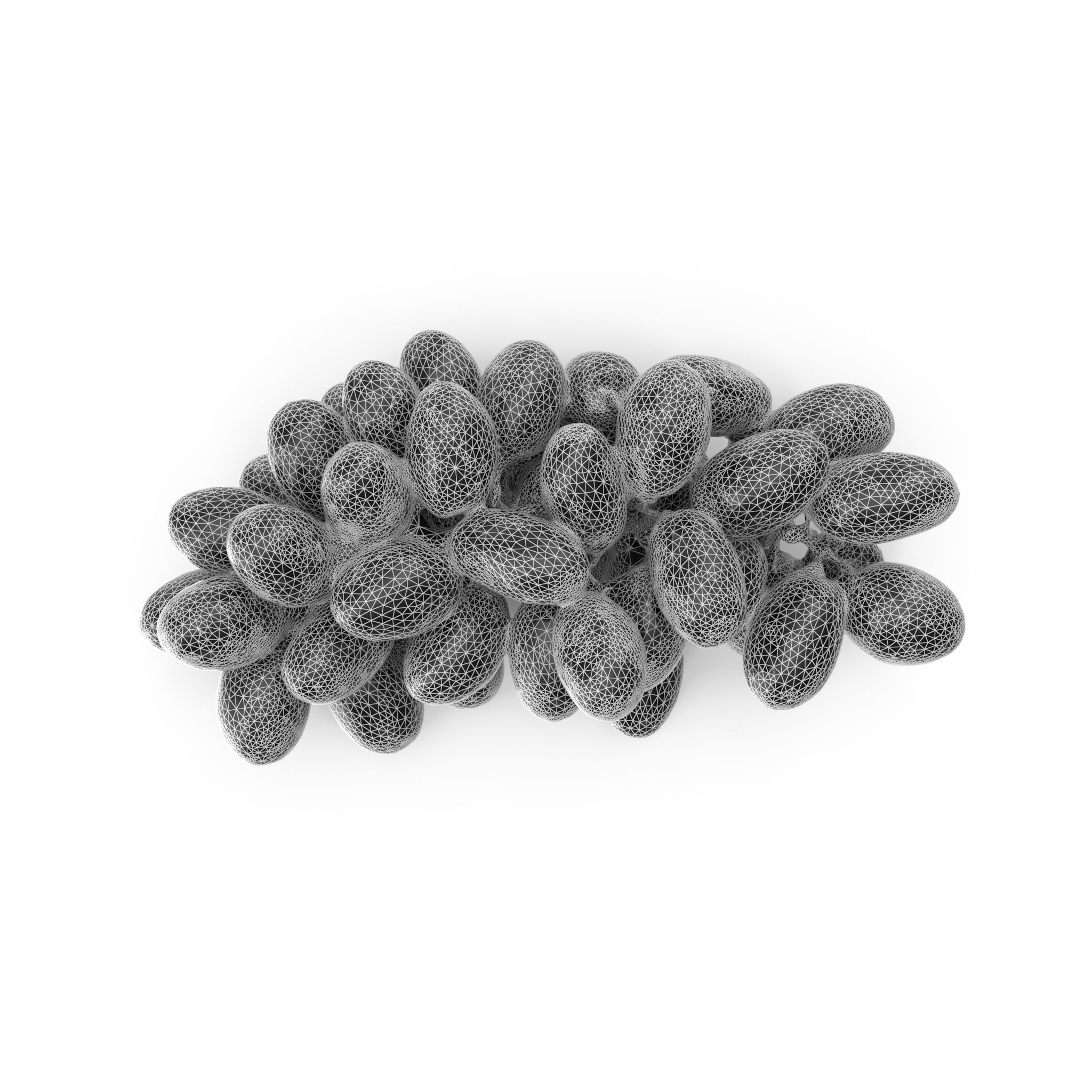 Red Grapes - 4K textures 3D model_2