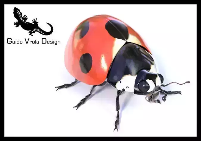 Accurate ladybug 3D model