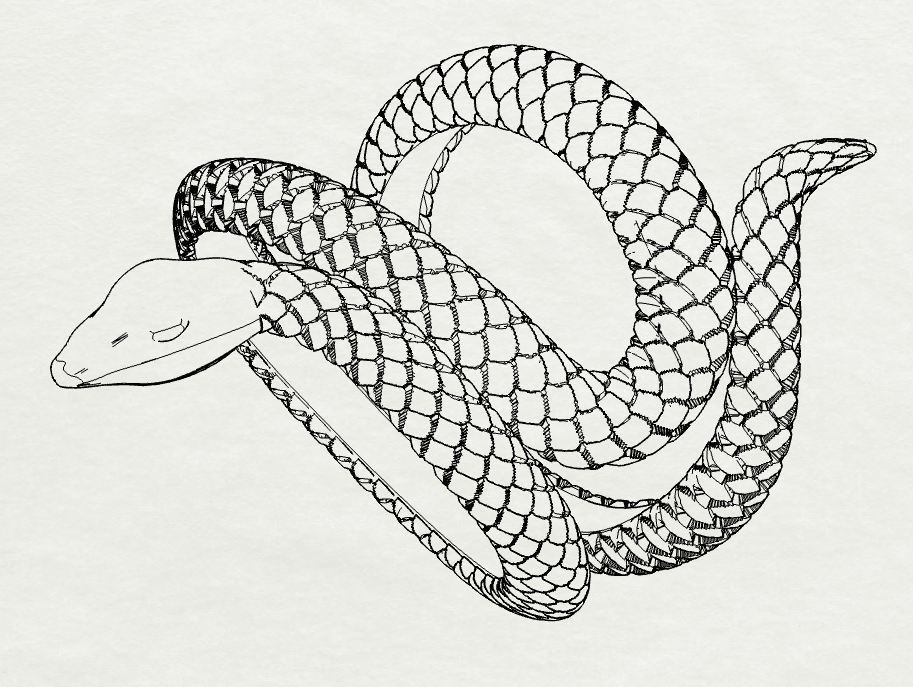 Snake Scales Ring  3D print model_7