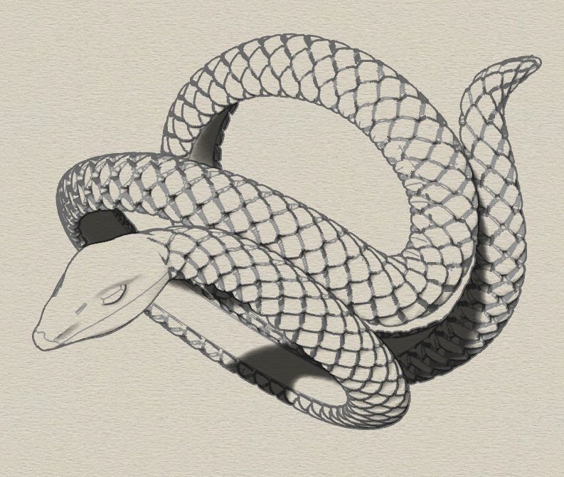 Snake Scales Ring  3D print model_10