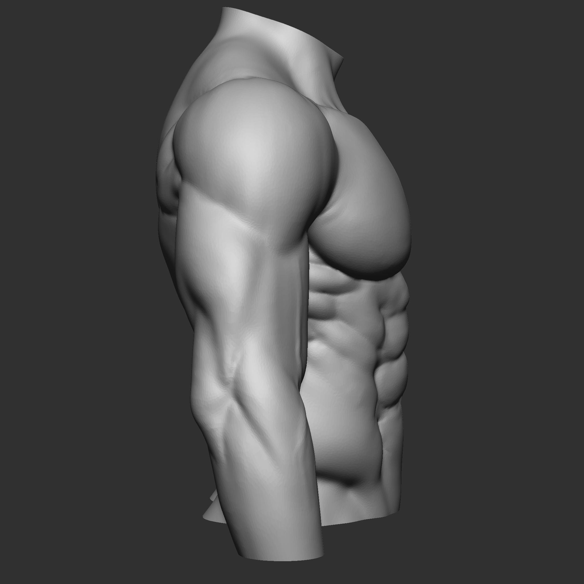 fitness bodybuilder  3D print model_1