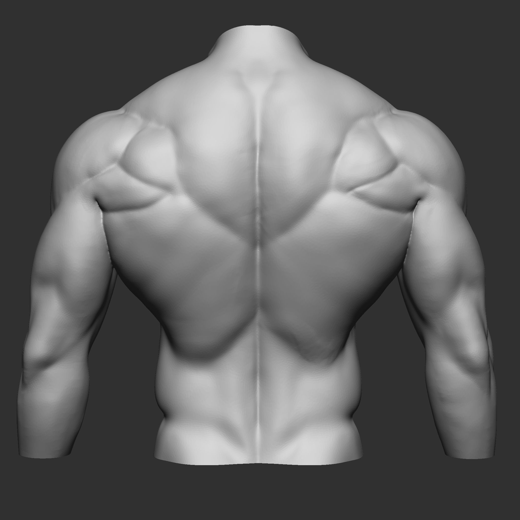 fitness bodybuilder  3D print model_2