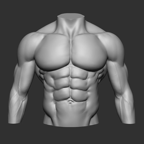 fitness bodybuilder  3D print model
