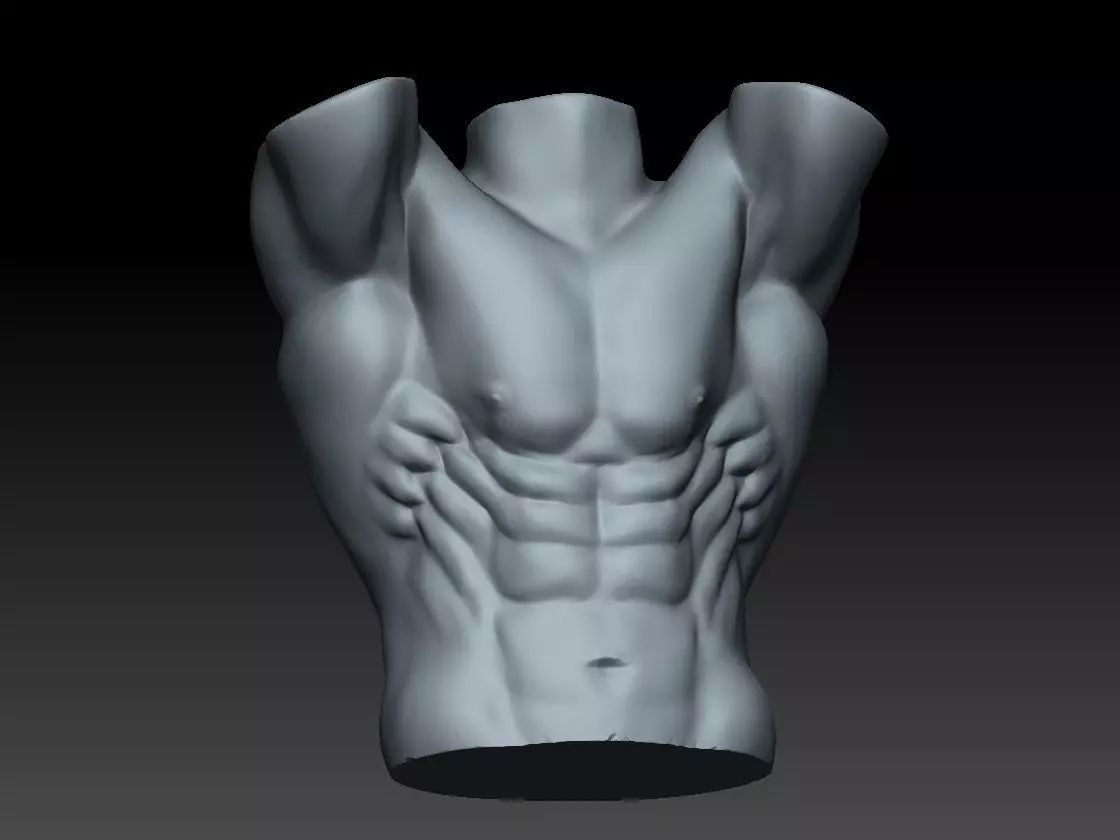 Bodybuilder torso Free 3D print model