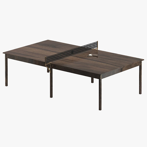 Ping Pong Table 01 with Paddles 3D model