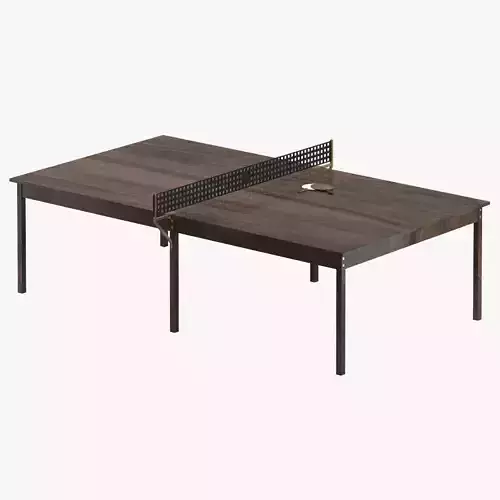 Ping Pong Table 01 with Paddles