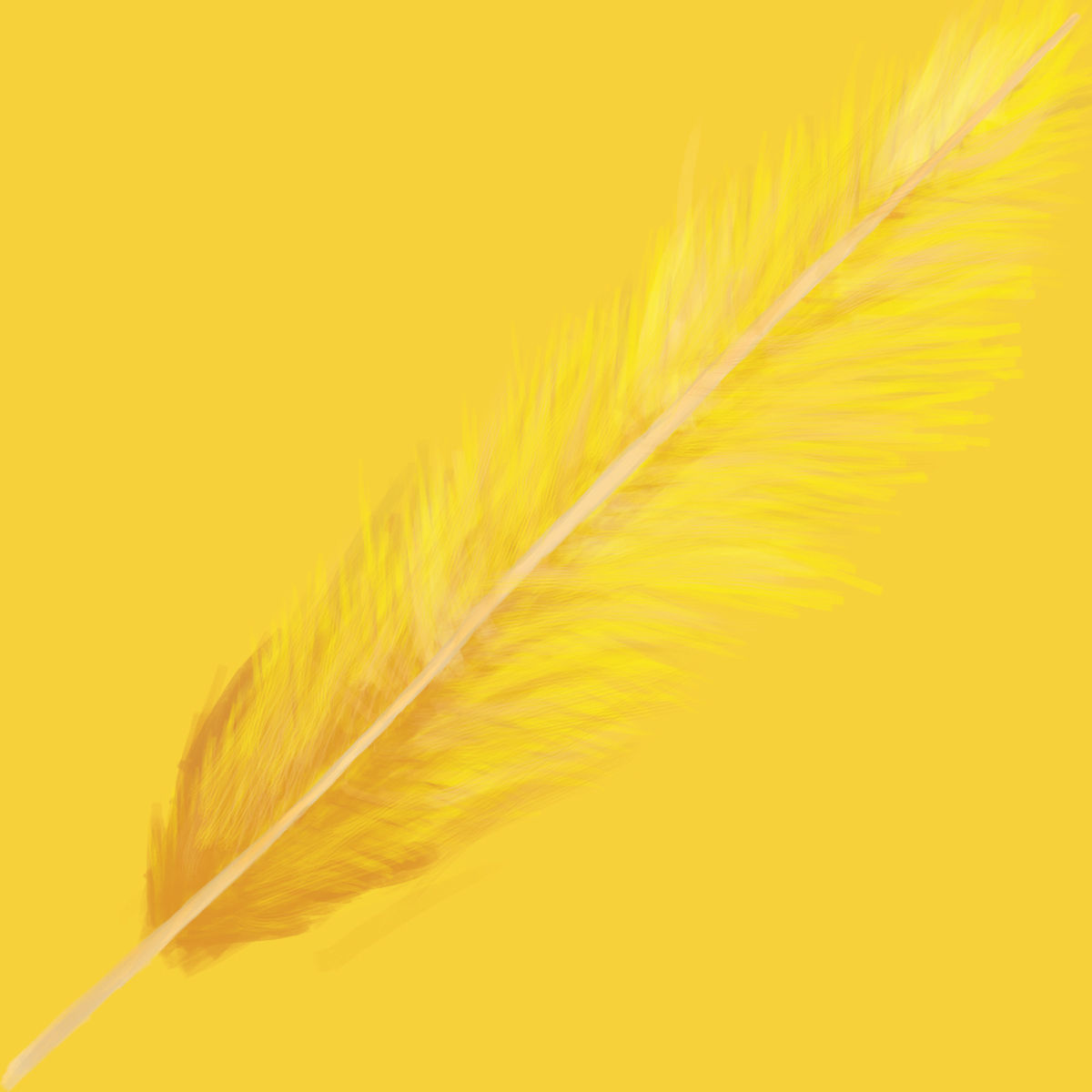 Feather 3D model_1