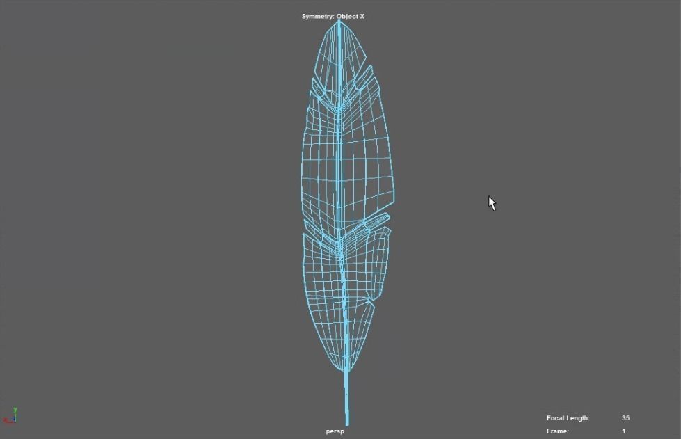Feather 3D model_2