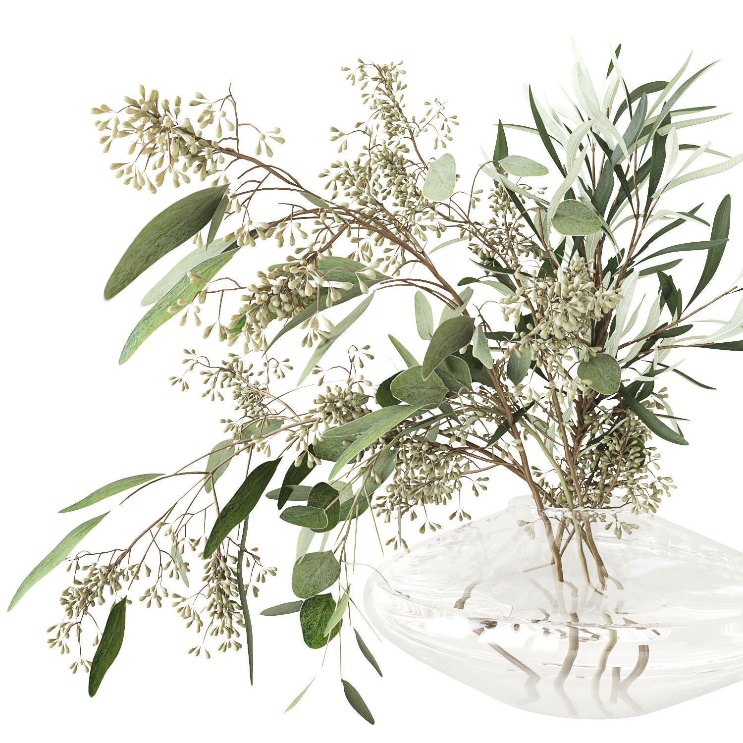 Eucalyptus bouquet 3D model_8