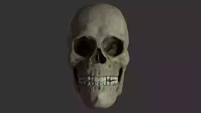 Skull