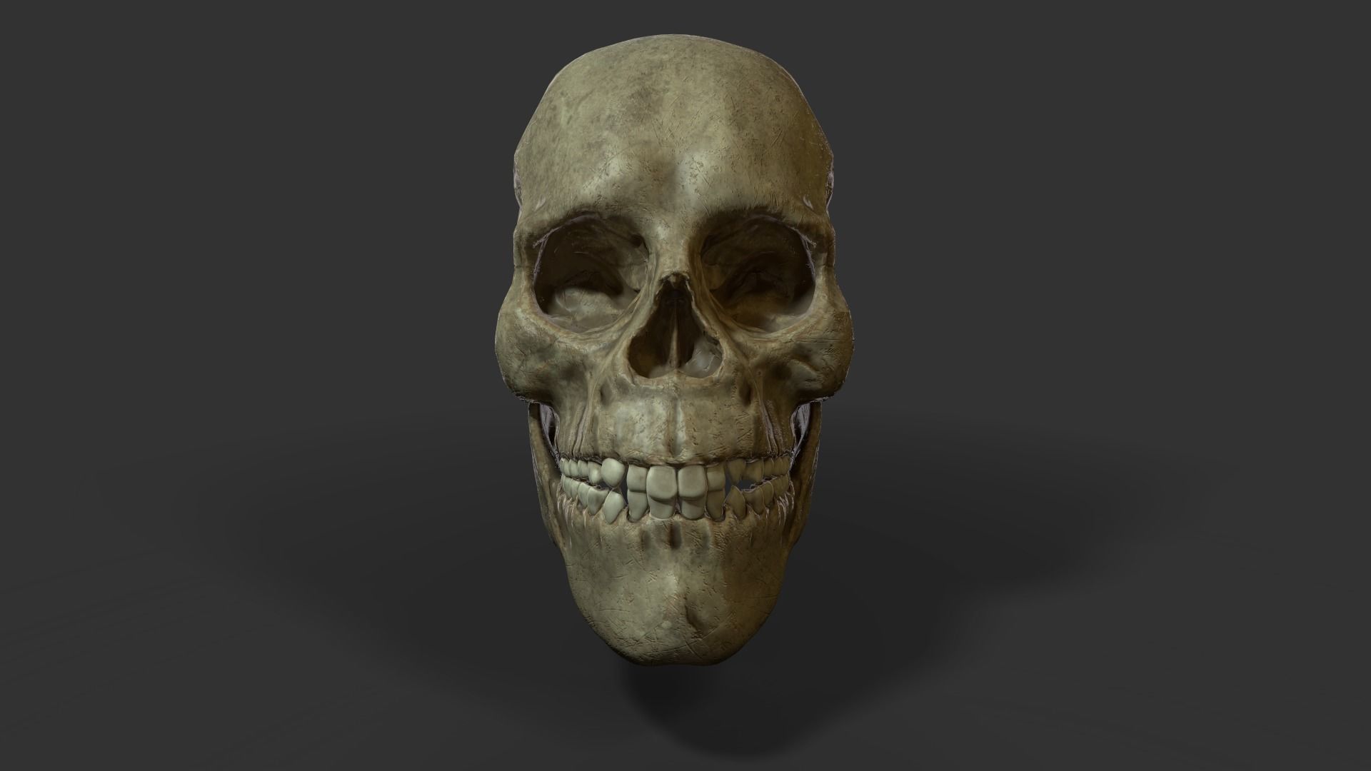Skull Low-poly 3D model_2