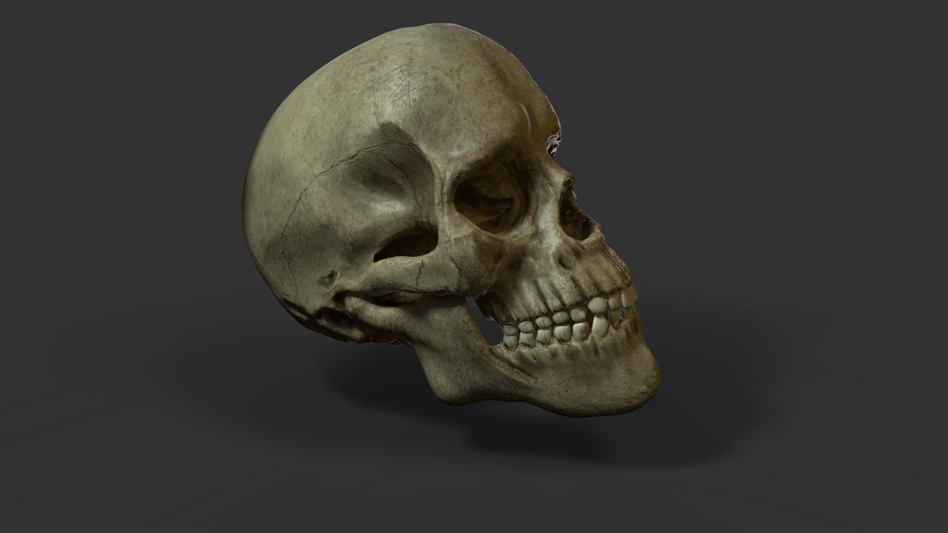 Skull Low-poly 3D model_3