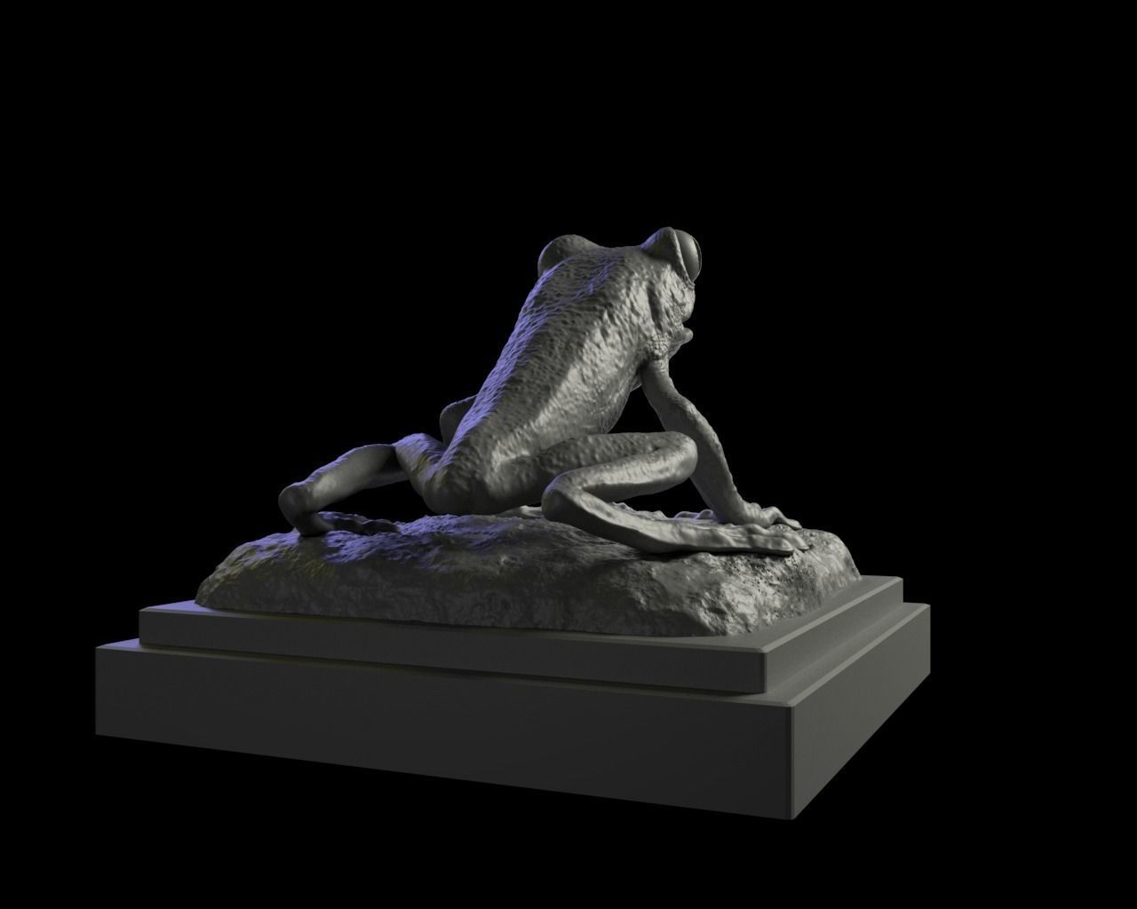 Red eyed Treefrog  3D Print Model 3D print model_6