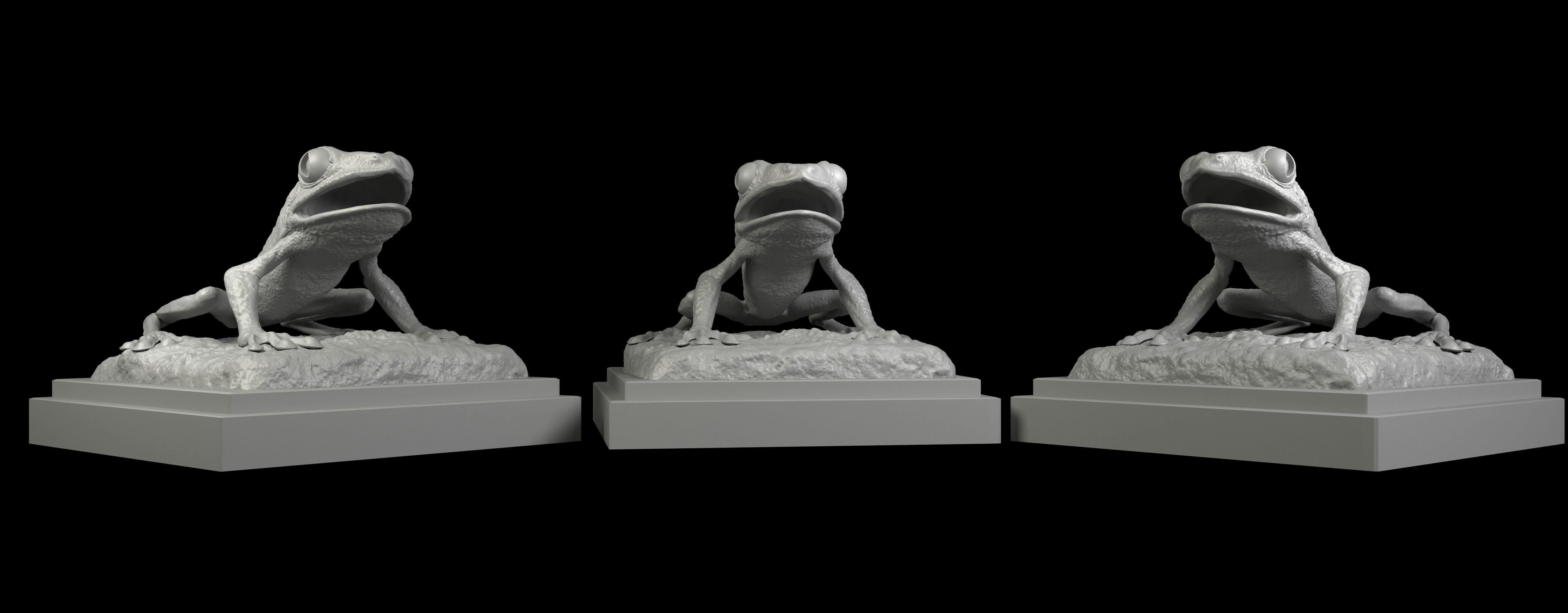 Red eyed Treefrog  3D Print Model 3D print model_2