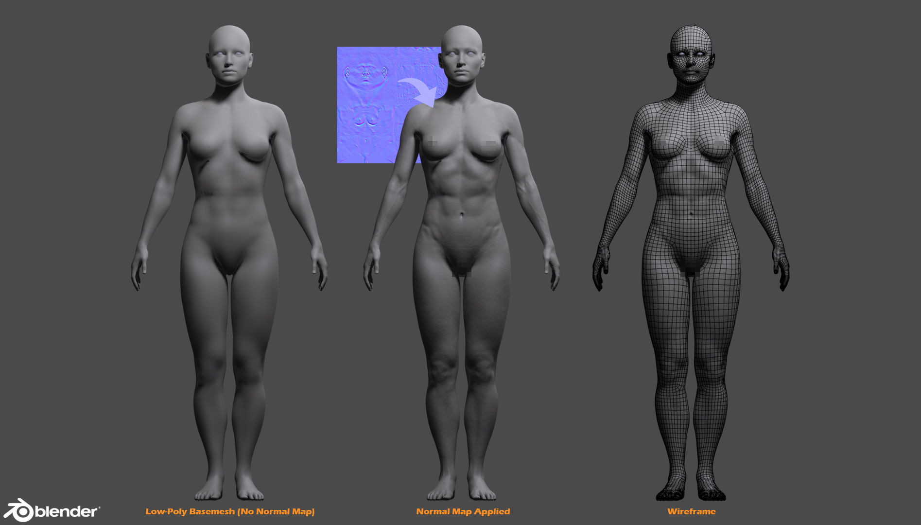 Female Custom Basemesh Lowpoly For Blender Low-poly 3D model_8