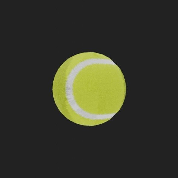 Tennis Ball 3D model_14