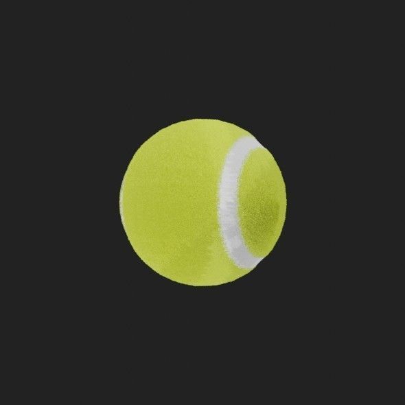 Tennis Ball 3D model_17