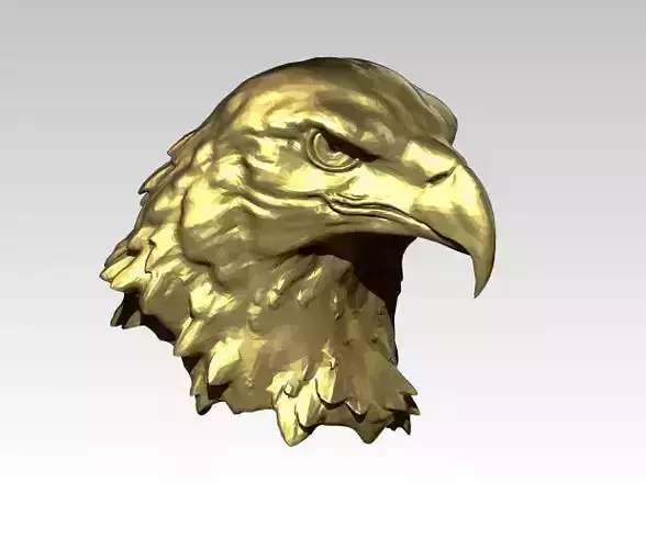 Eagle head bust statue Detailed Realistic