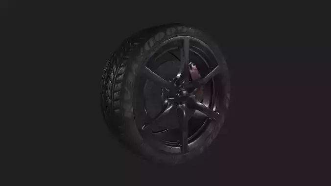 Tire with rims