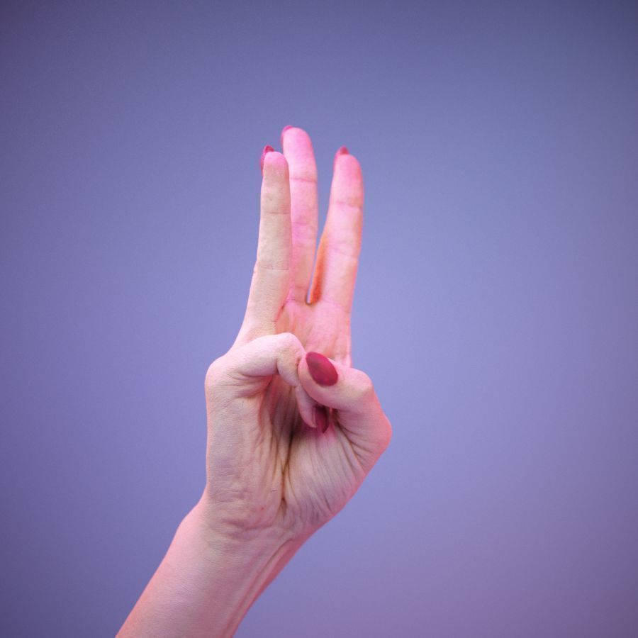 Sign Alphabet W 3D model_1