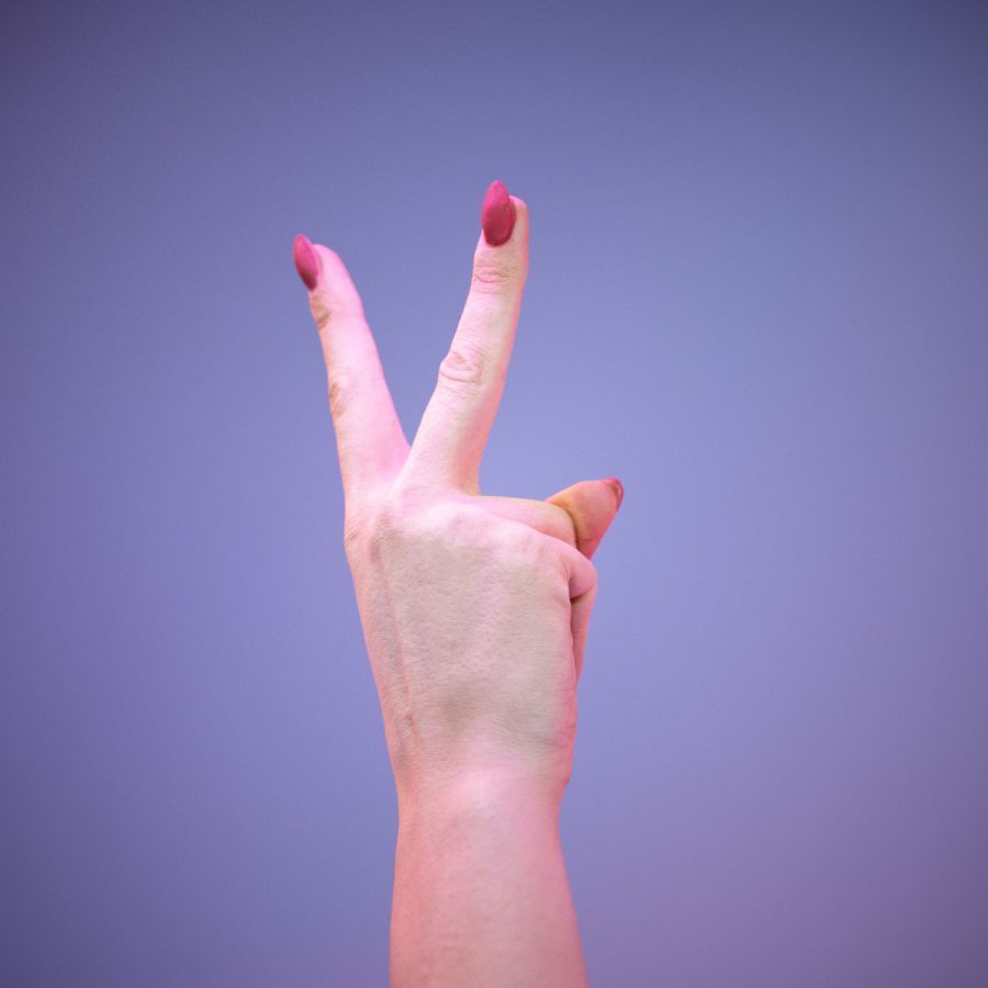 Sign Alphabet V 3D model_4