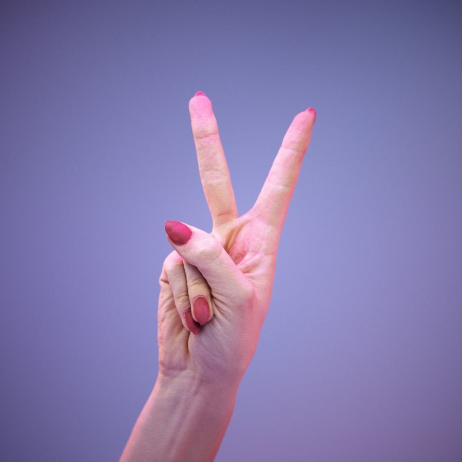 Sign Alphabet V 3D model_11