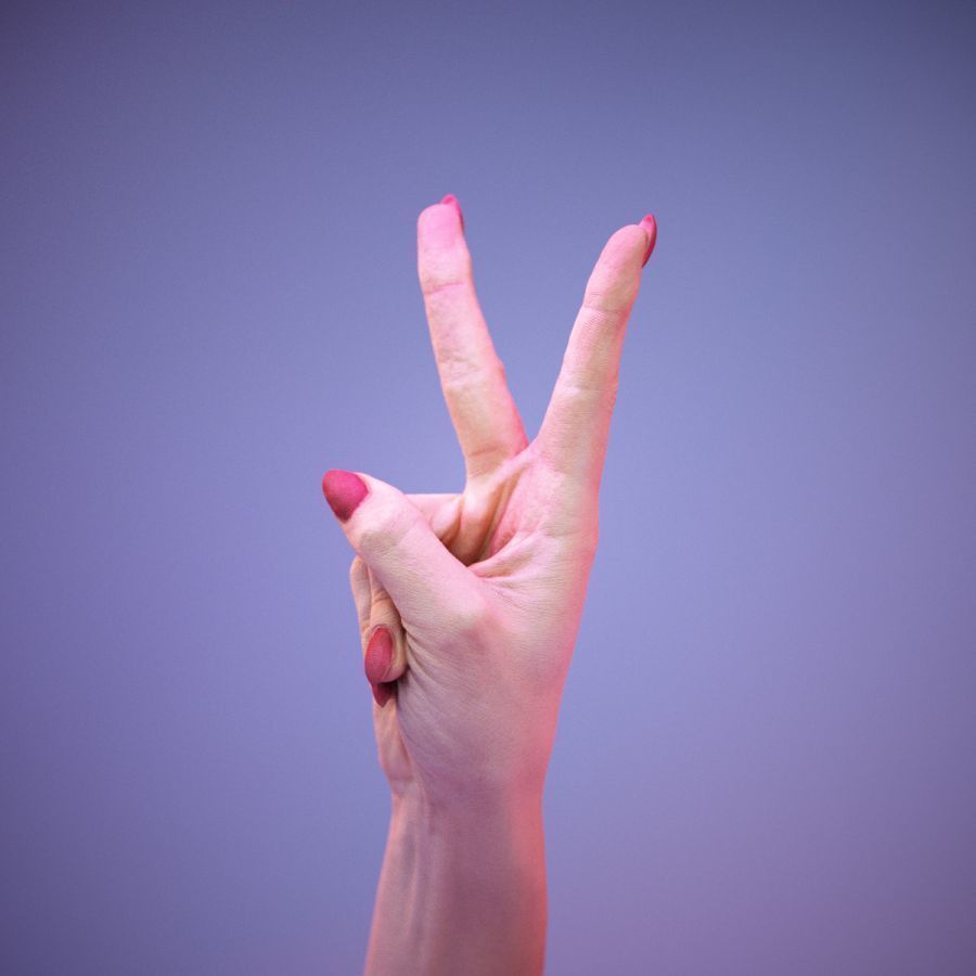 Sign Alphabet V 3D model_10