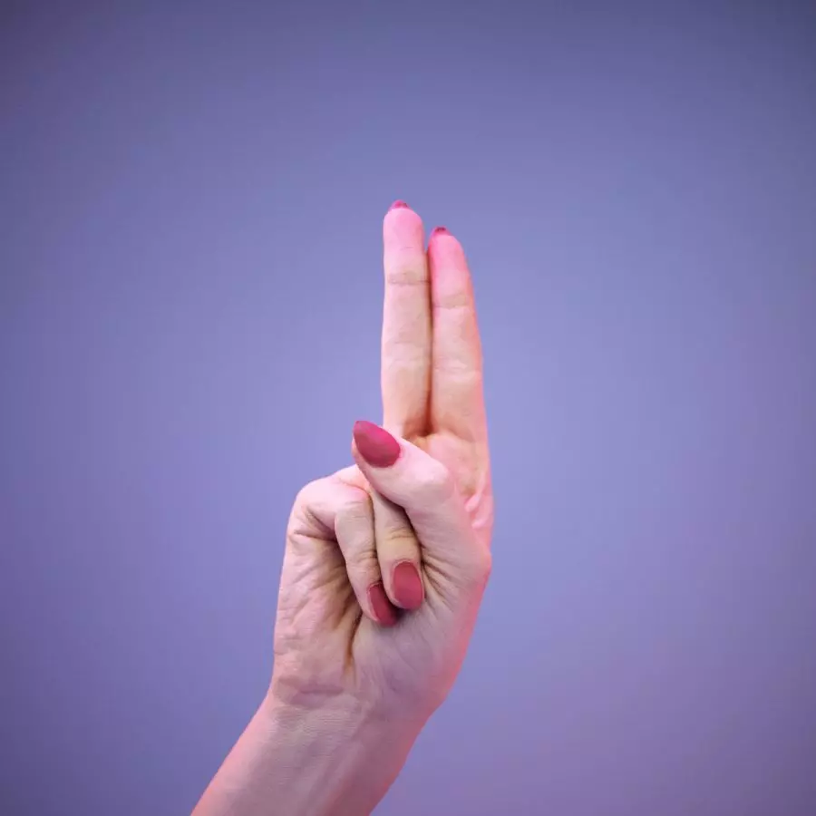 Sign Alphabet U 3D model_0