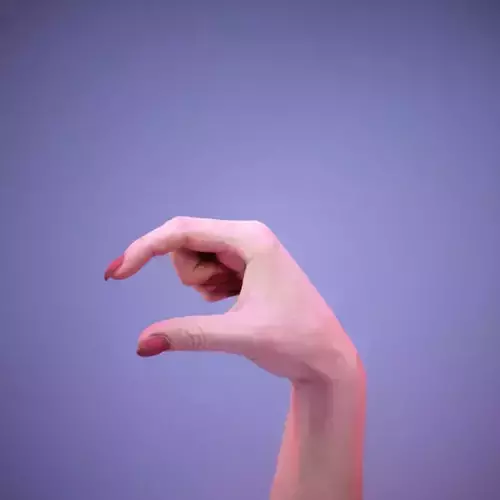 Sign Alphabet Q 3D model