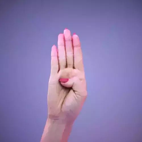 Sign Alphabet B 3D model