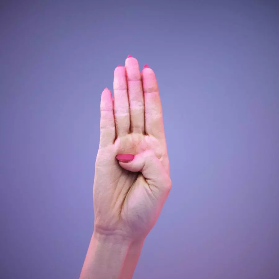 Sign Alphabet B 3D model_0