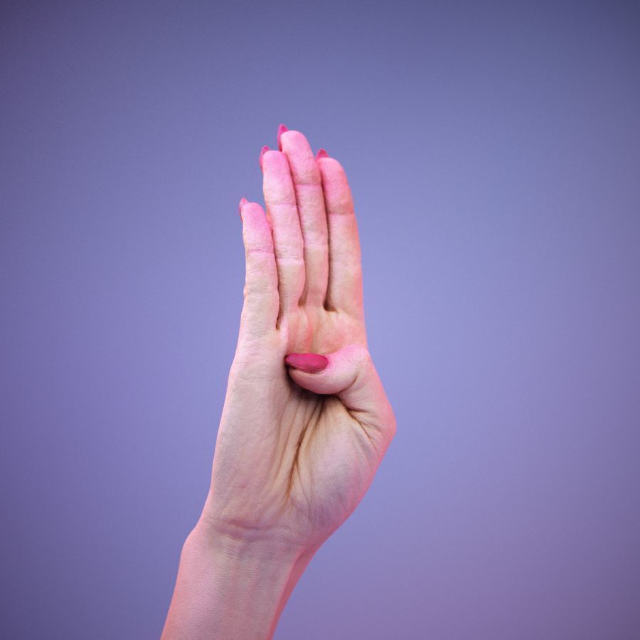 Sign Alphabet B 3D model_2