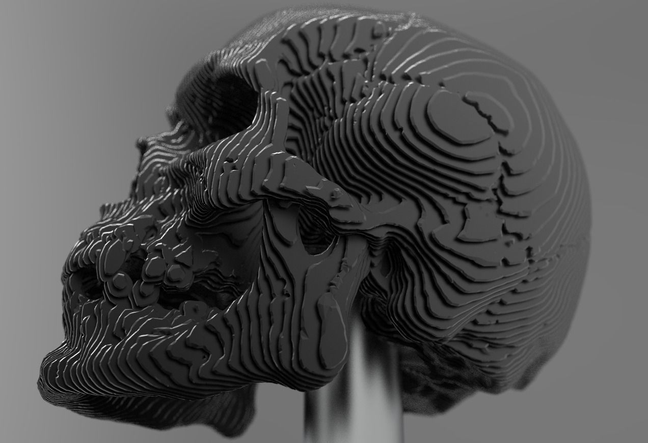 skull decoration 3D model_2