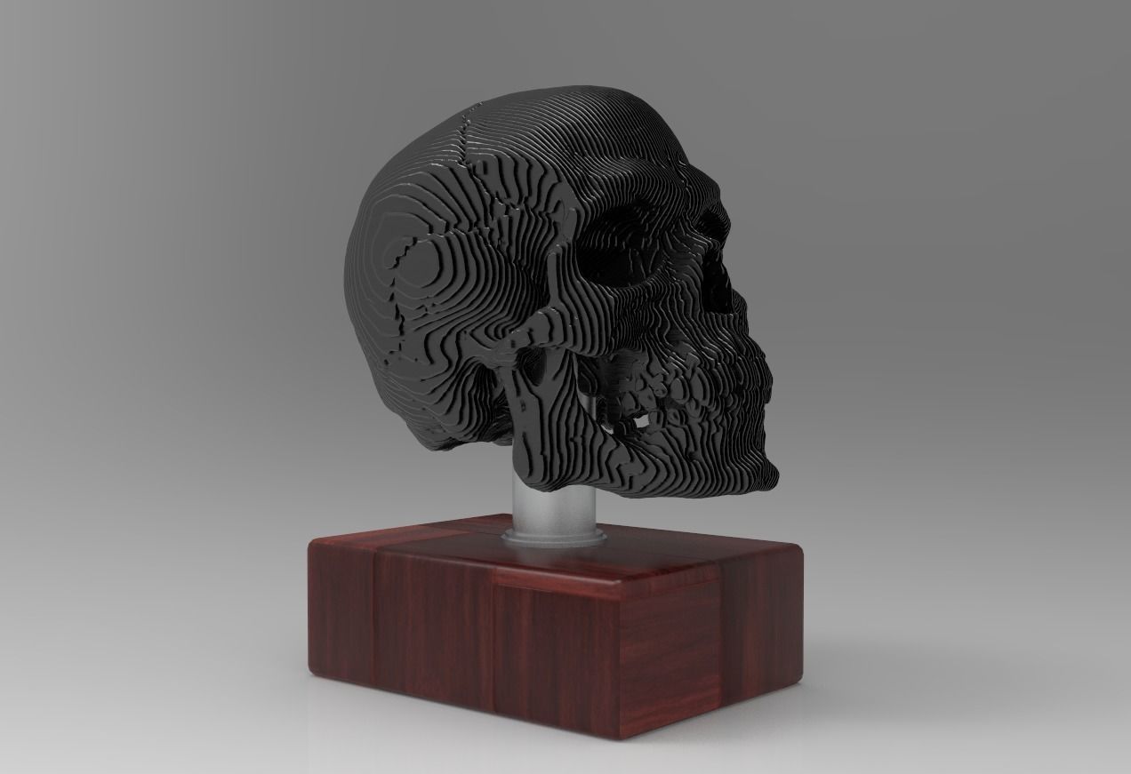 skull decoration 3D model_5