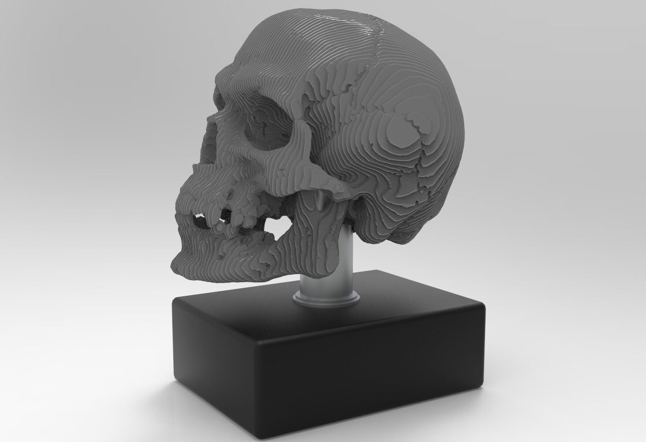 skull decoration 3D model_4